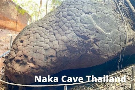 Exploring Naka Cave: An Adventure in Thailand